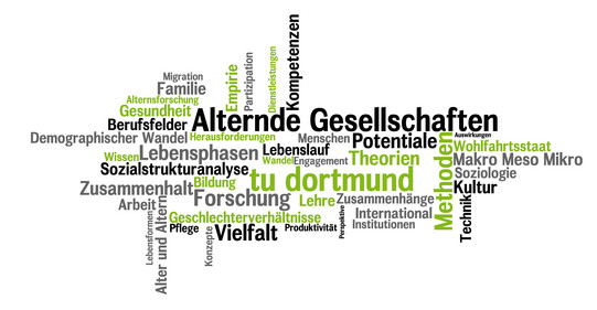 Eine Ansammlung von Wörter über den Master Alternde Gesellschaften