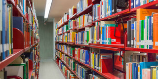 Red bookshelves in the university library.