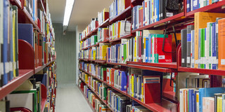 Red bookshelves in the university library.